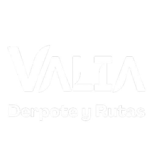 ValiaLogo
